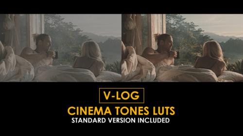 V-Log Cinema Tones and Standard LUTs - 51433913