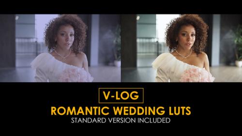 V-Log Romantic Wedding and Standard LUTs - 51434065