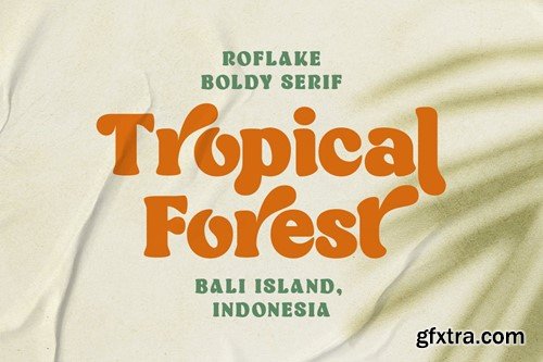 Roflake Boldly Vintage Style Font AKXHK2U