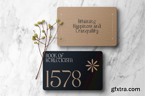 Ribgy Stylish Serif Font WZZYFT4