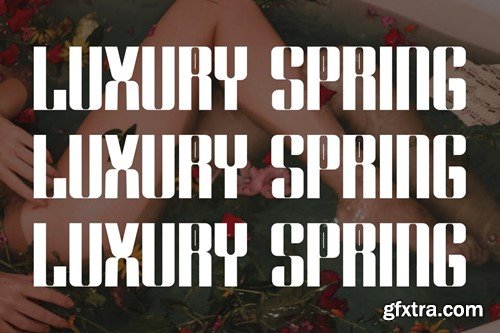 Luxury Spring - Luxury & Elegant Font DV9TAN6