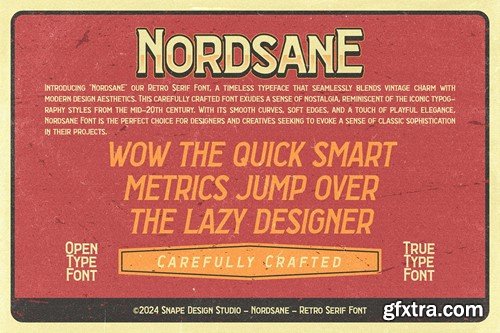 Nordsane - Retro Serif Font DPAPAFP
