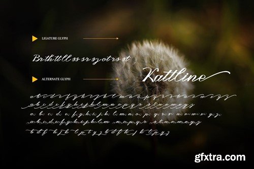 Kattline - Unique Script Font UJDCFBE
