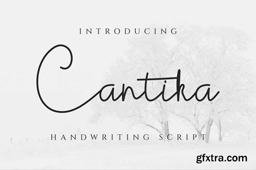 Cantika Script Signature Font XNSTAXX