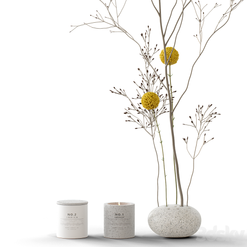 Decorative set 58 branch and candles