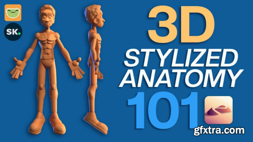 3D Stylized Anatomy 101 with Drugfreedave