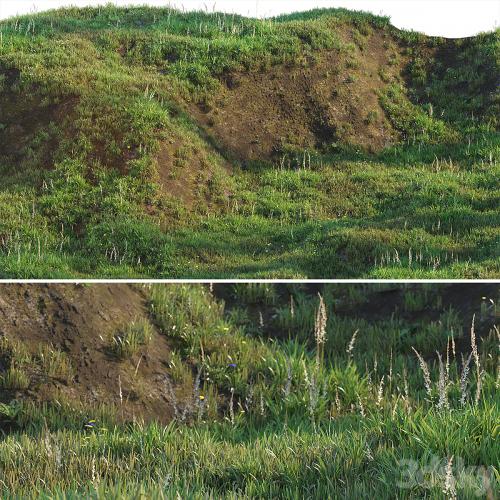 Grass on the slope