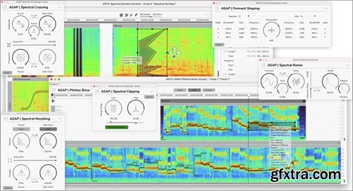 Ircam Lab ASAP v2.0.0