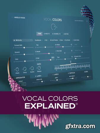 Groove3 Vocal Colors Explained