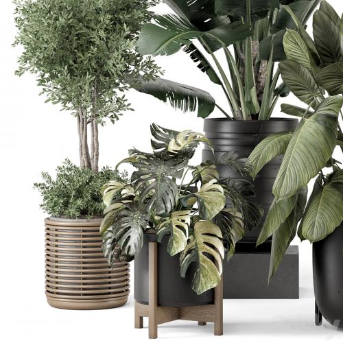 Indoor Plants in Ferm Living Bau Pot Large - Set 1665