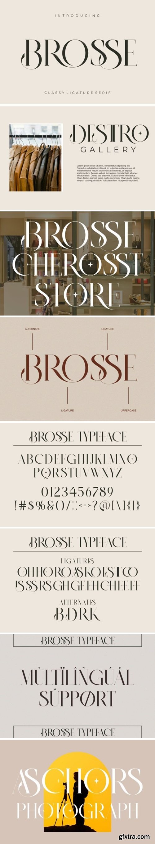 CM - BROSSE Classy Ligature Serif 137203306