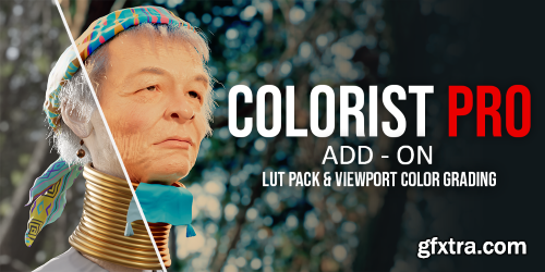 Colorist Pro v1.0 + Asset for Blender