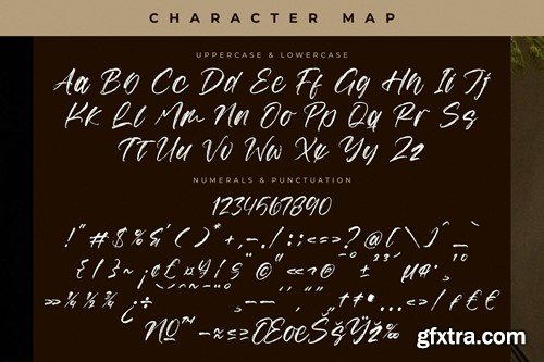 Anthony Dominate Modern Handbrush Font LMR6BGF