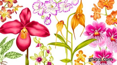 Illustrate Orchids In Procreate