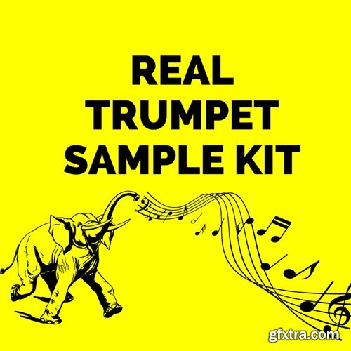 Real Trumpet Sample Kit