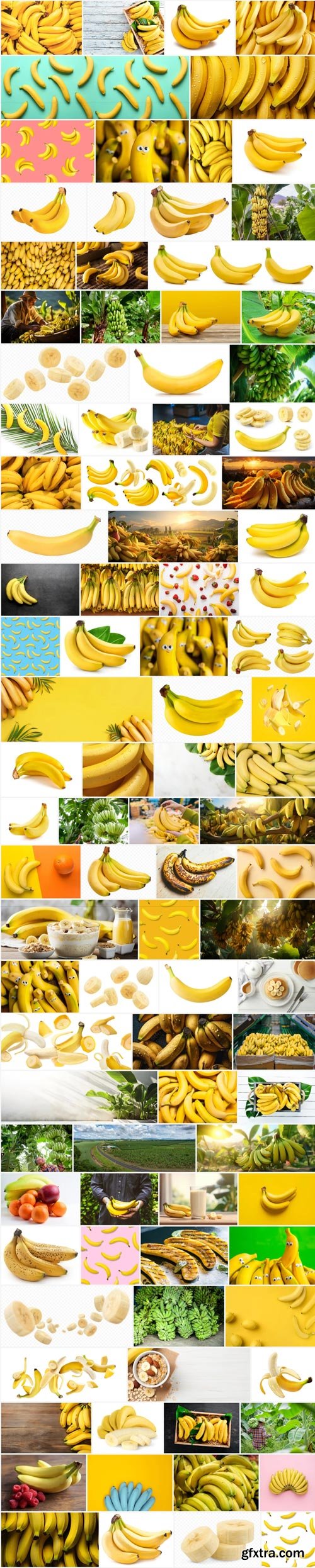 Amazing Photos, Bananas 100xJPEG