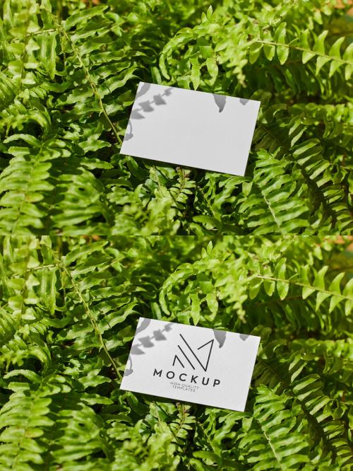 Business Card Mockup Over Green Leaves