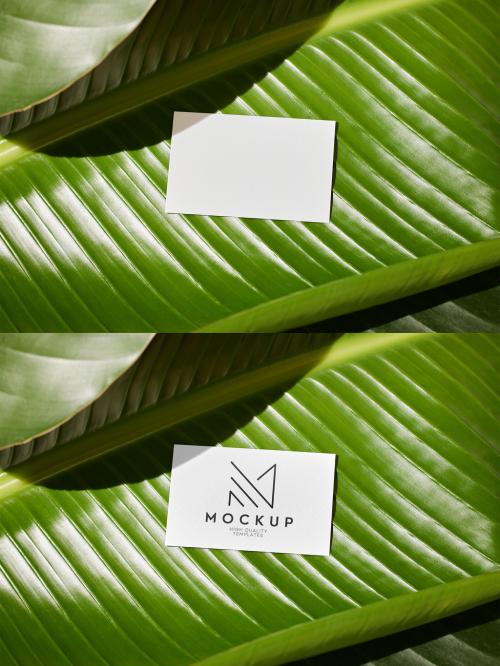 Business Card Mockup on a Green Leaf
