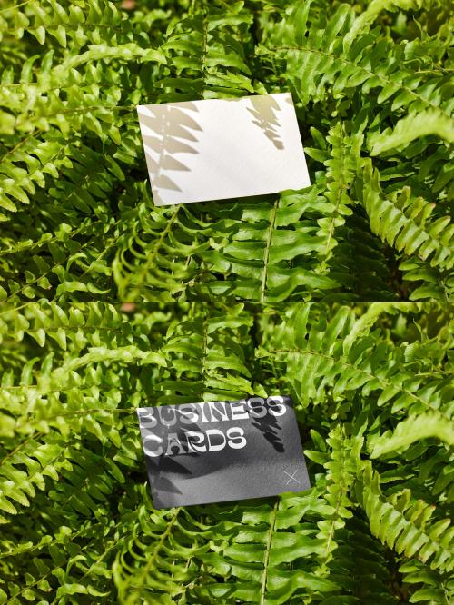 Business Card Mockup Among Green Leaves