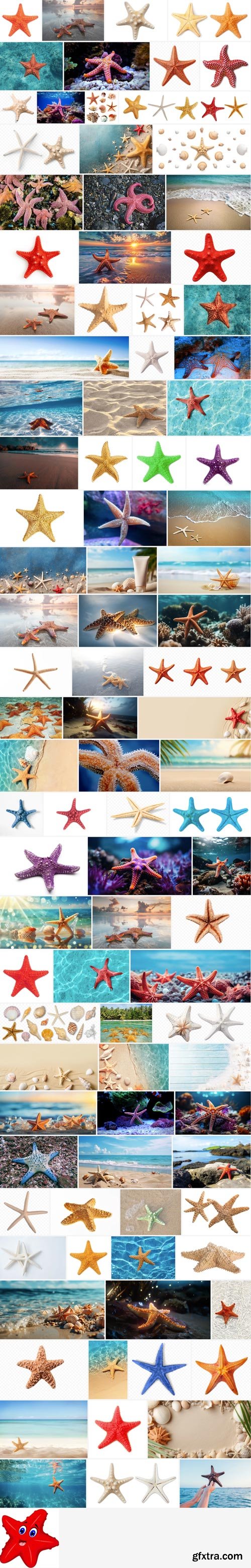 Amazing Photos, Starfish 100xJPEG