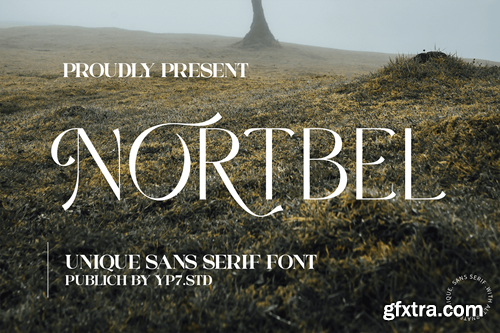 Elegant Sans Serif Font LWC48AY Elegant Sans Serif Font LWC48AY