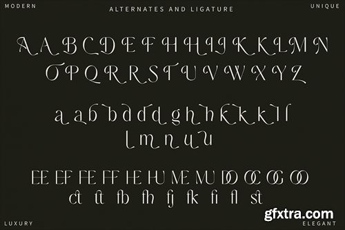 Elegant Sans Serif Font LWC48AY Elegant Sans Serif Font LWC48AY