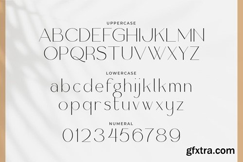 Kleafia - Unique Slim Sans Typeface WQAA25V