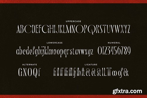 Garlone - Unique Slim Sans Typeface GQBJQKJ