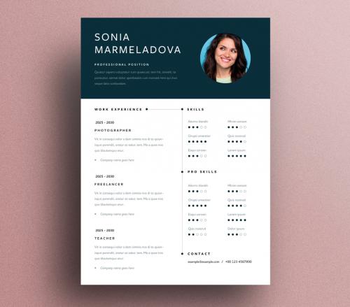 Simple Resume Layout With Blue Accent