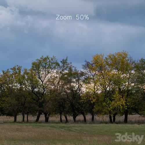 Cloudy panorama with autumn trees. 2 pcs