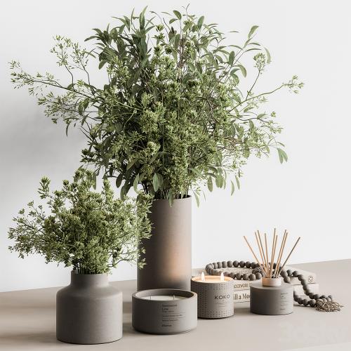 Vase and Plant Decorative Set - Set 126