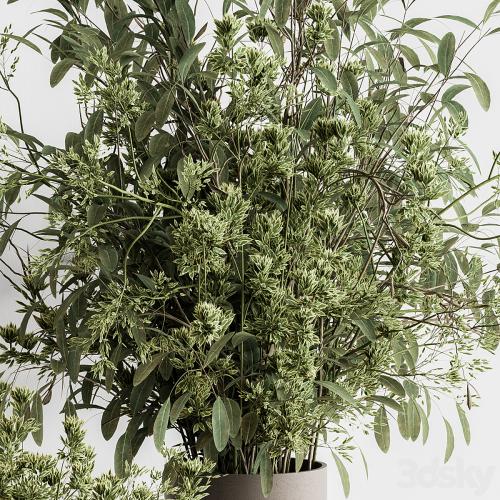 Vase and Plant Decorative Set - Set 126