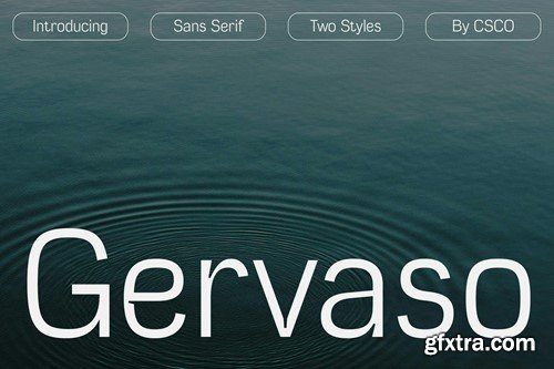 Gervaso – Grotesque Font 298PNLE