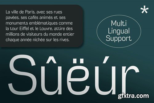 Gervaso – Grotesque Font 298PNLE