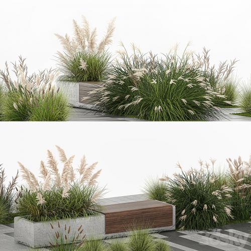 Flower bed with feather grass bushes, Miscanthus, Cortaderia and white pampas grass, bench and bench paving slabs. 1147.