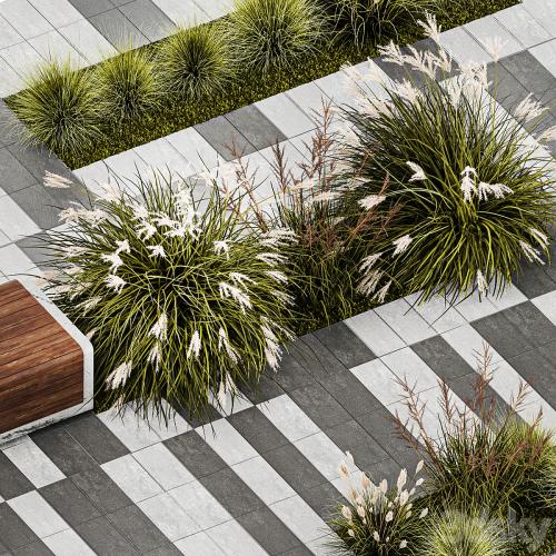 Flower bed with feather grass bushes, Miscanthus, Cortaderia and white pampas grass, bench and bench paving slabs. 1147.