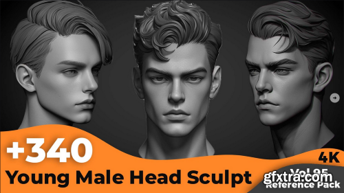 +340 Young Male Head Sculpt Reference(4k)
