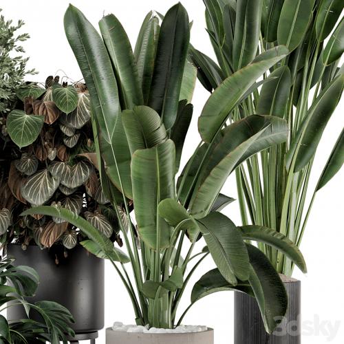 Indoor Plants in Ferm Living Bau Pot Large - Set 1204