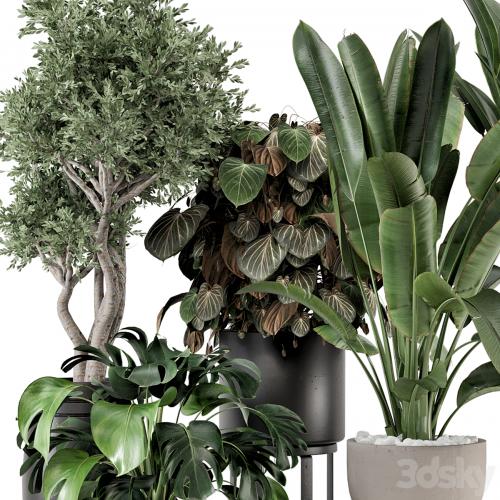 Indoor Plants in Ferm Living Bau Pot Large - Set 1204