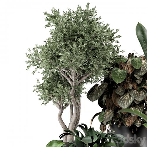 Indoor Plants in Ferm Living Bau Pot Large - Set 1204