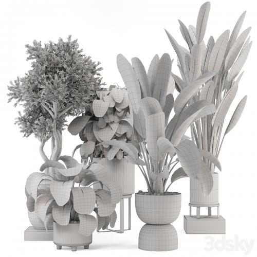 Indoor Plants in Ferm Living Bau Pot Large - Set 1204