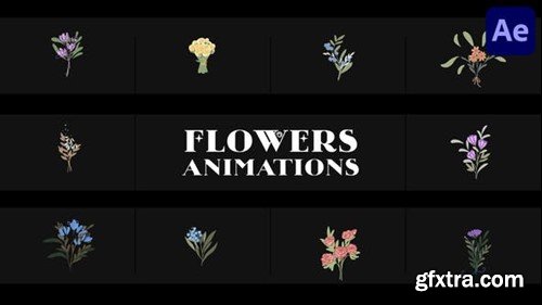 Videohive Flowers Falling Into Petals Animations for After Effects 52155580