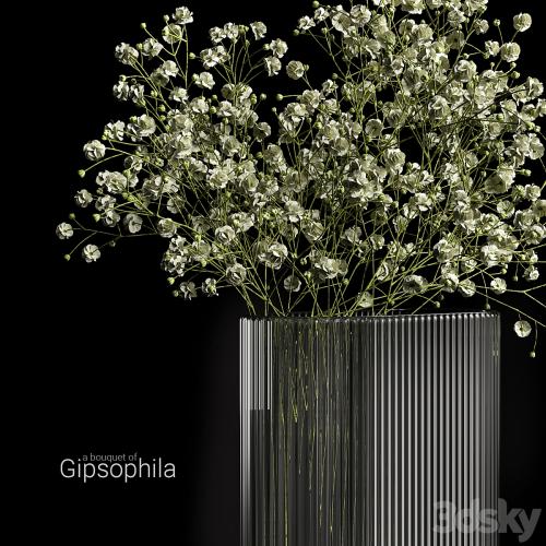 A bouquet of gypsophila