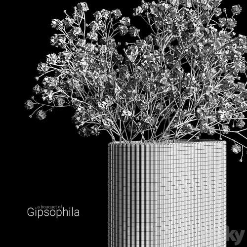A bouquet of gypsophila
