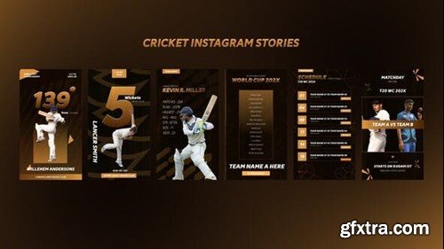 Videohive Cricket Instagram Stories 52186172