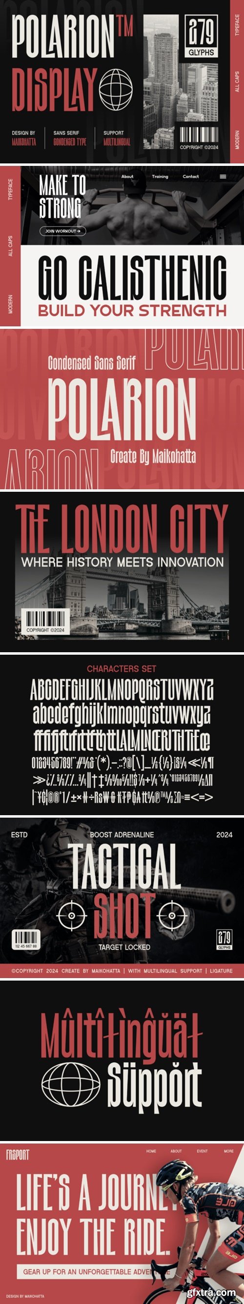 Polarion Font