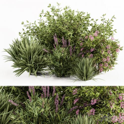 Mixed Plant Bush Green and Purple - Bush Set 50