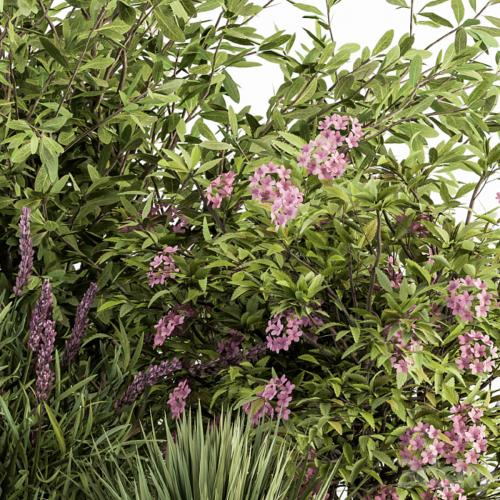 Mixed Plant Bush Green and Purple - Bush Set 50