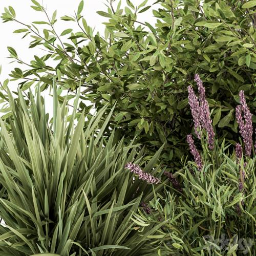 Mixed Plant Bush Green and Purple - Bush Set 50