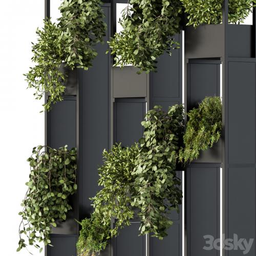 Green Wall - Plants partition 02